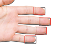 Fingerprint_Biometrics-1